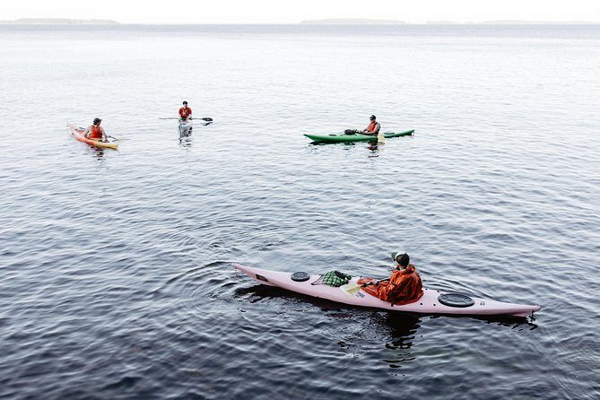 Helsinki by Kayak - Who Should Book This Kayak Tour (and Who Might Think Twice)