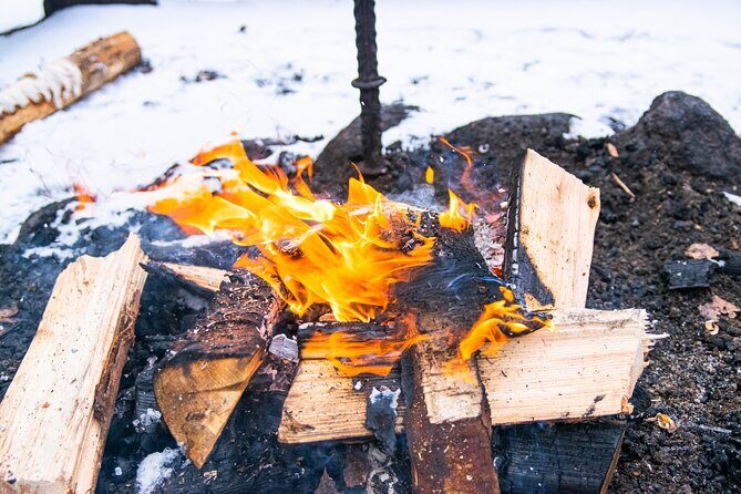Helsinki: Nuuksio National park hiking with campfire lunch - Campfire lunch in the woods: Finnish comfort food, done right