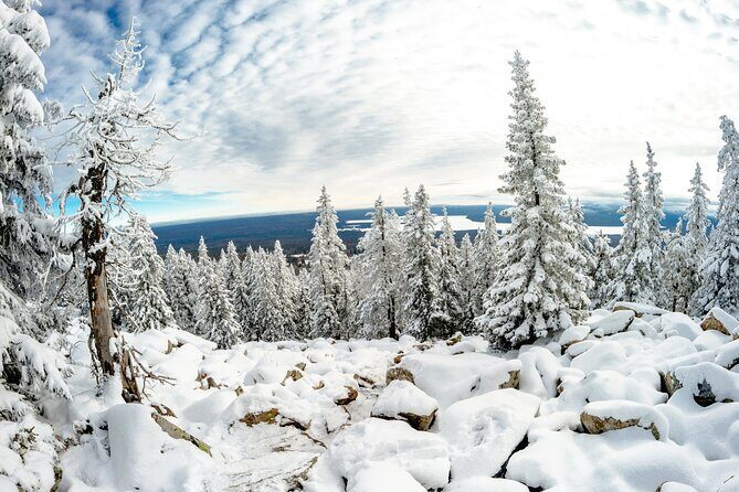 Hike to Frozen Waterfalls of Korouoma Including BBQ Lunch from Rovaniemi - Bonfire BBQ Lunch and Blueberry Tea: Why the Meal Matters