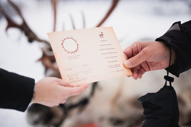 Husky and Reindeer Experience With Snowmobiling - The snowmobile safari: driving rules, sharing, and what the ride feels like
