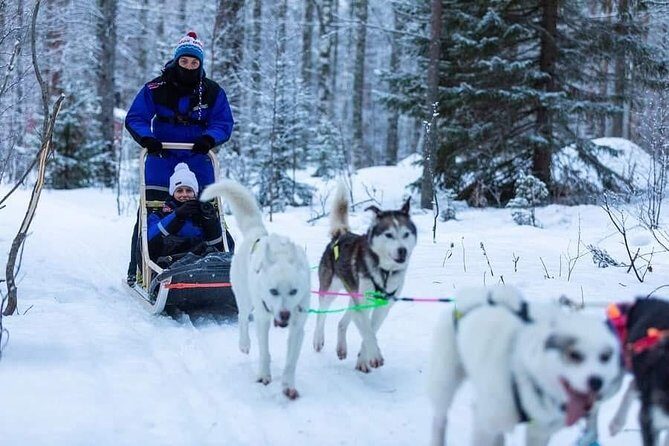 Husky safari - Getting to Honkamaantie 32 without stress