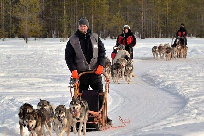 Husky Safari from Levi 2 KM or 5 KM with Husky Sledge Ride - Logistics that affect your stress level: pickup, timing, and English