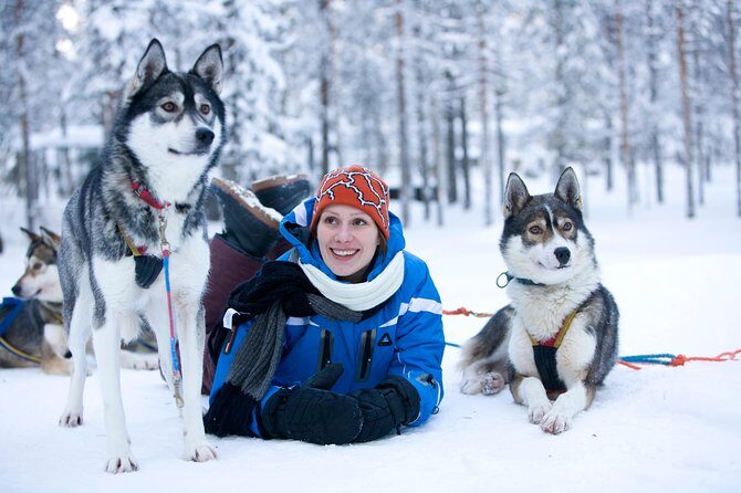 Husky Safari from Rovaniemi Including a Husky Sled Ride - Key Things I’d Remember Before Booking