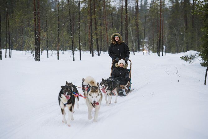 Husky Safari from Rovaniemi Including a Husky Sled Ride - The Husky Sled Ride: Pace, Photo Stops, and How the Sled Works