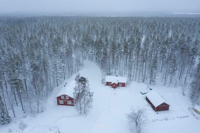 Husky safari - What the 30-minute sled ride includes (and what you’ll feel)