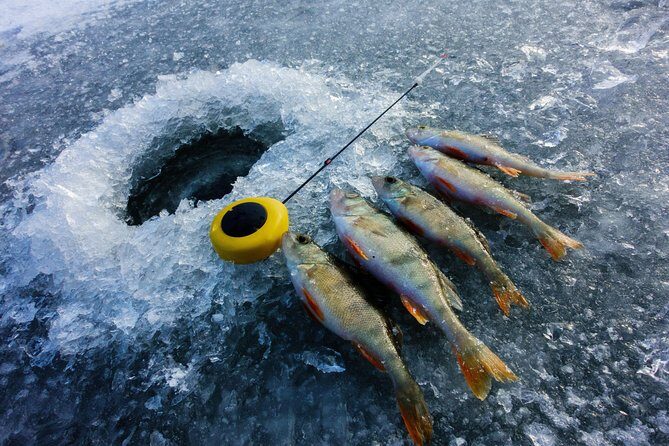Ice Fishing and Husky - Group Size and Timing: Small-Group Feel, but Not Always Long Sled Time