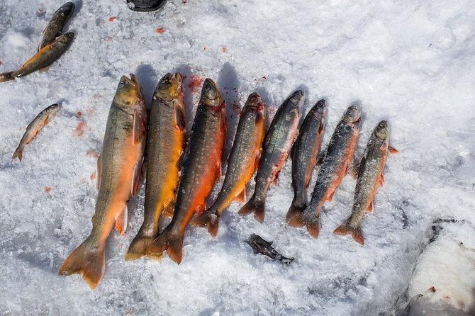 Ice Fishing and Husky - Winter Clothing and Gear Included: Travel Lighter, Enjoy More