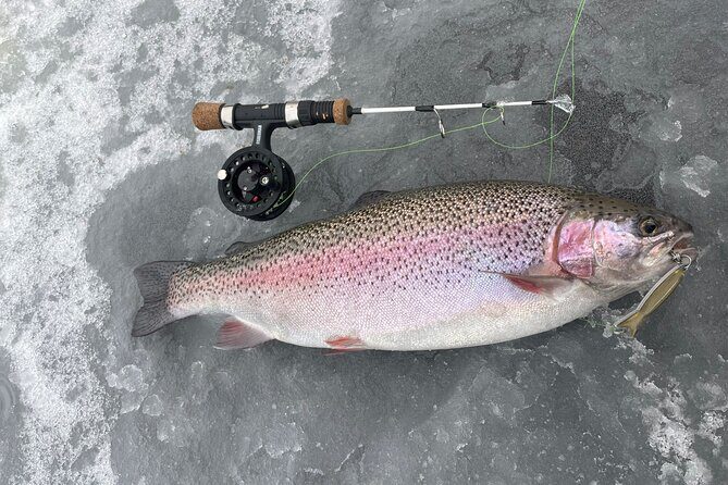 Ice fishing experience - The Sledding Hill Moment For Kids (And Adults Who Smile Anyway)