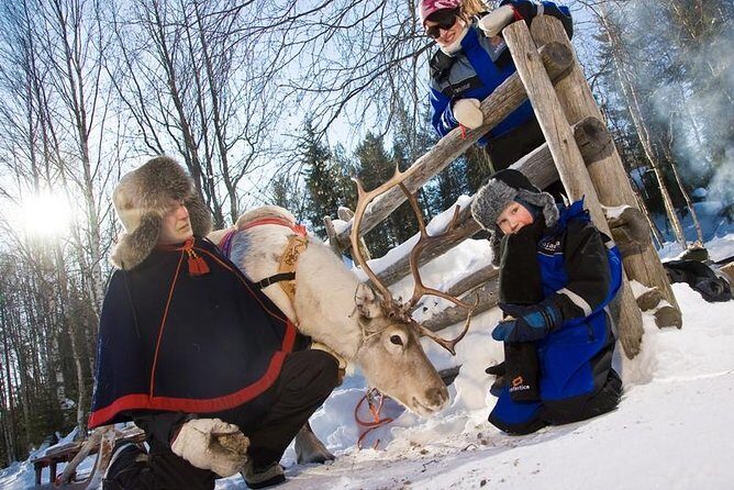 In Pursuit of Reindeer - Snowmobile safari to reindeer farm in Rovaniemi - Key highlights to look forward to