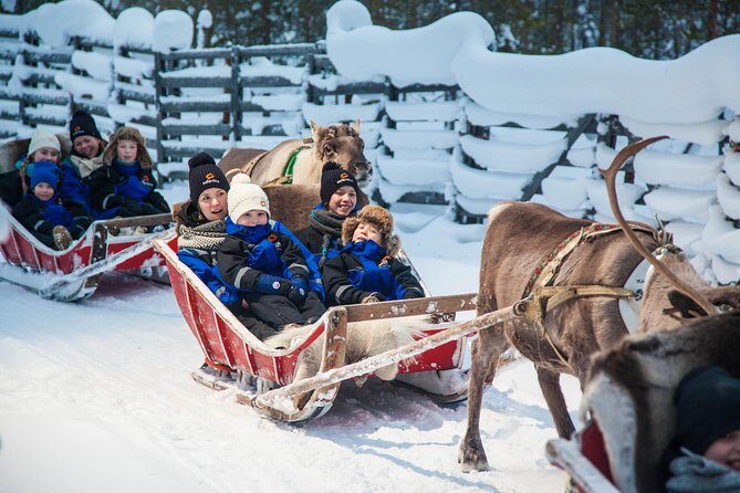 In Pursuit of Reindeer - Snowmobile safari to reindeer farm in Rovaniemi - Your Keepsakes: International Reindeer Driving License and Arctic Circle Ceremony