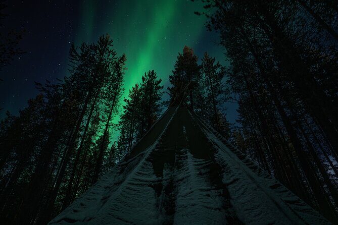 Ivalo: Aurora Hunting with Reindeer - Who Should Book This Ivalo Reindeer And Aurora Night