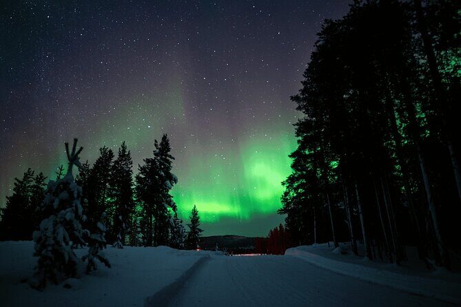 Ivalo: Aurora Hunting with Reindeer - Fire-Roasted Reindeer Sausages And Hot Berry Juice