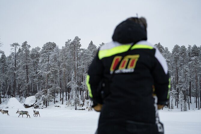 Ivalo: Reindeer herd and fishing experience - Reindeer herding with Niilo and Johanna: calling, feeding, and learning the daily rhythm