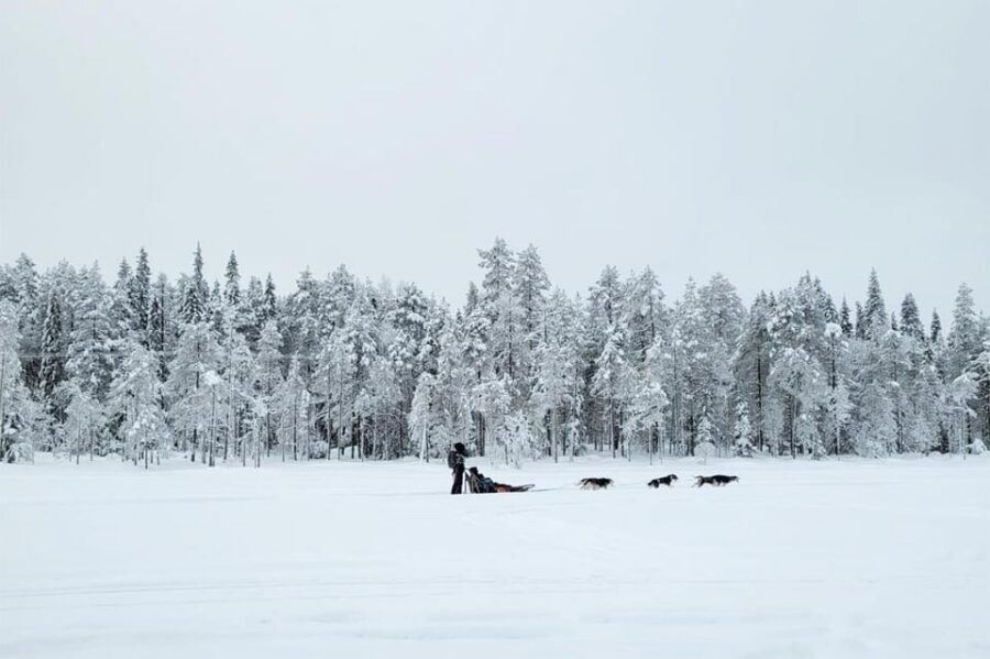 Kemi-Tornio: Husky Sled Ride with Hot Drink - Dressing for cold: what happens at Sea Lapland Safaris