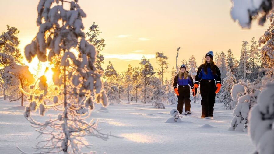 Kemi-Tornio: Nature tour with snowshoes - Dressing for the Cold: Included Gear That Lets You Enjoy the Walk