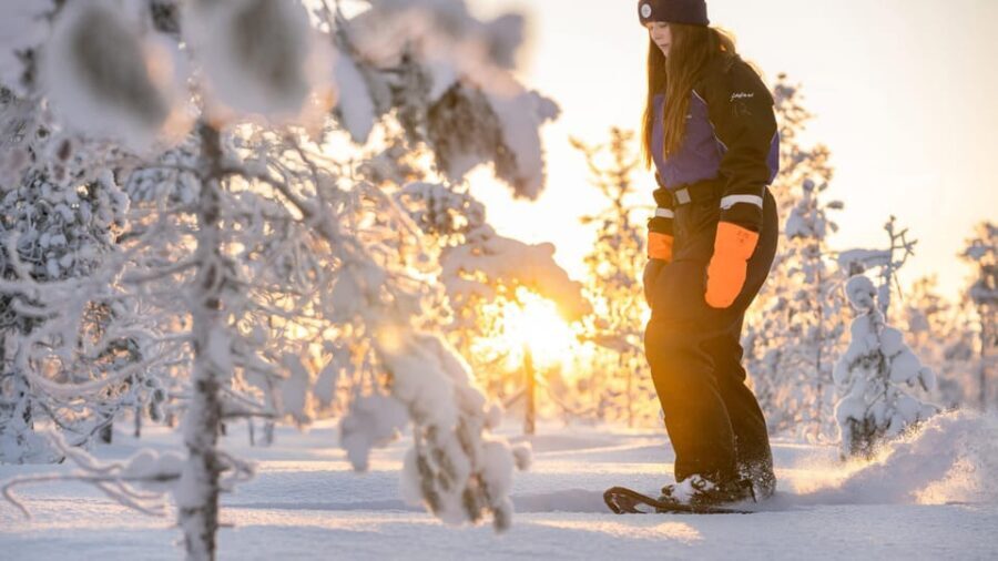 Kemi-Tornio: Nature tour with snowshoes - Meeting at Sea Lapland Safaris: Easy Start, Clear Point