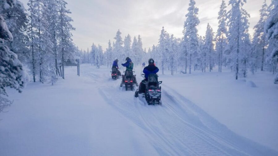 Kemi-Tornio: Snowmobile Forest Safari w/ Hot Drink & Snacks - Key highlights you’ll feel from the start