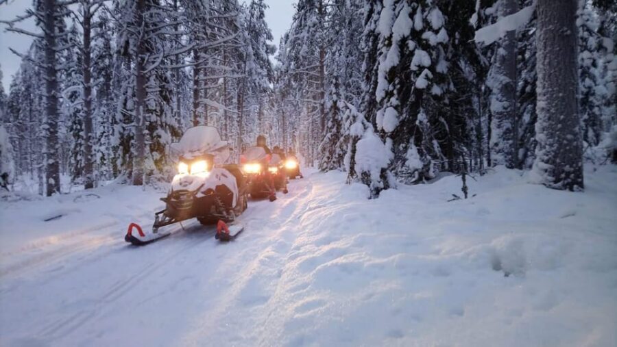 Kemi-Tornio: Snowmobile Forest Safari w/ Hot Drink & Snacks - Bothnian Bay to the forest: why this safari hits different