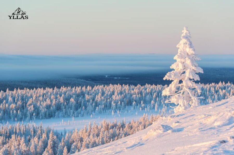 King of Ylläs: Snowmobiling to the Hill - What You Ride: A Hilltop Snowmobile Safari from Ylläsjärvi