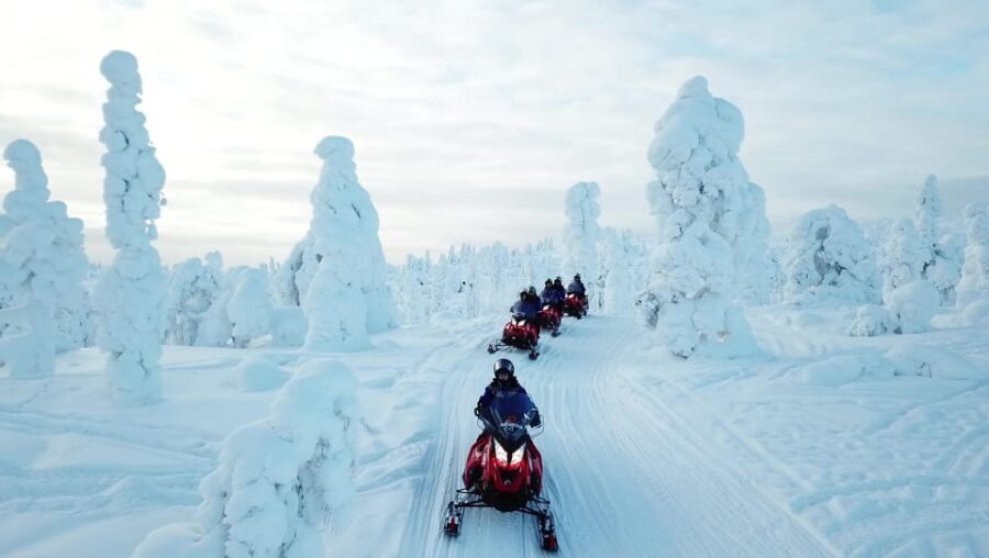 King of Ylläs: Snowmobiling to the Hill - The Big Stop: Hilltop Cafe Break with Hot Drink and Doughnut