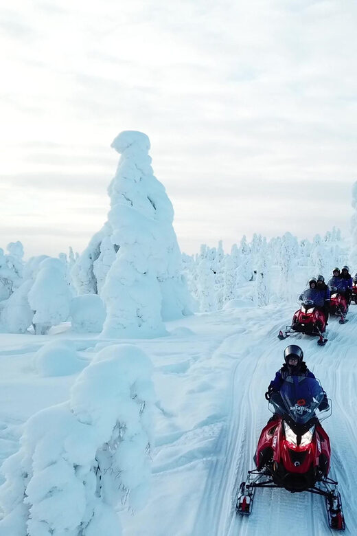 King of Ylläs: Snowmobiling to the Hill - Your Driving License and the Adult Checklist