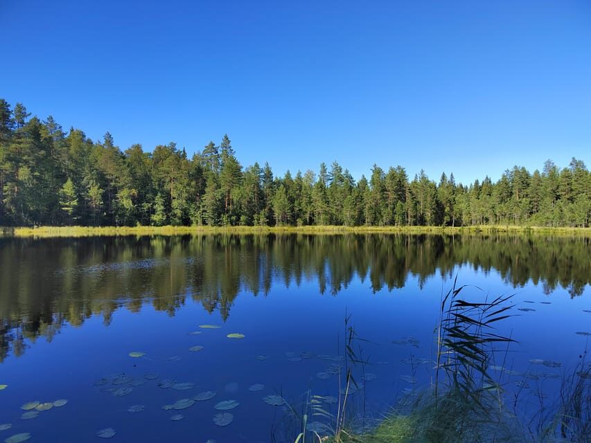 Kintulammi Nature Experience (Nature reserve near Tampere) - Who should book this nature experience (and who might pass)