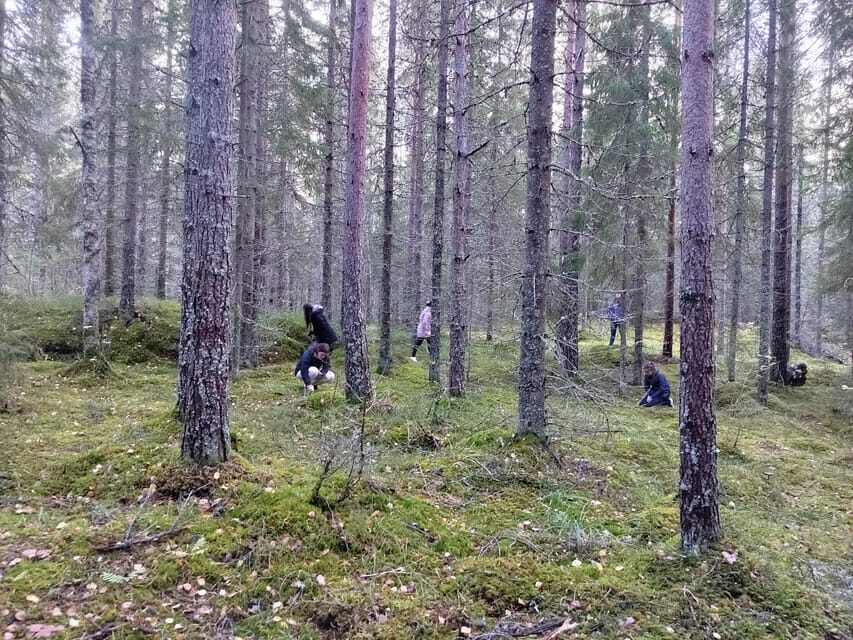Kintulammi Nature Experience (Nature reserve near Tampere) - Kintulammi near Tampere: a guided day that feels local