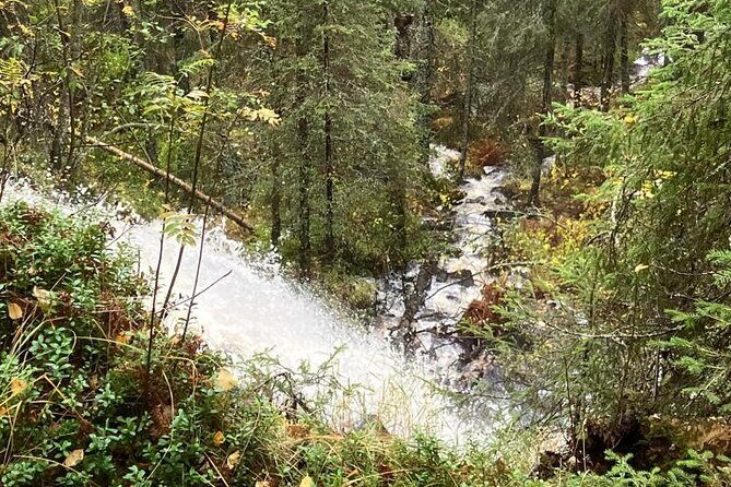 Korouoma Canyon: Frozen Waterfalls Hike & BBQ Experience - BBQ in the snow: warm food, wood fire, and homemade glögi