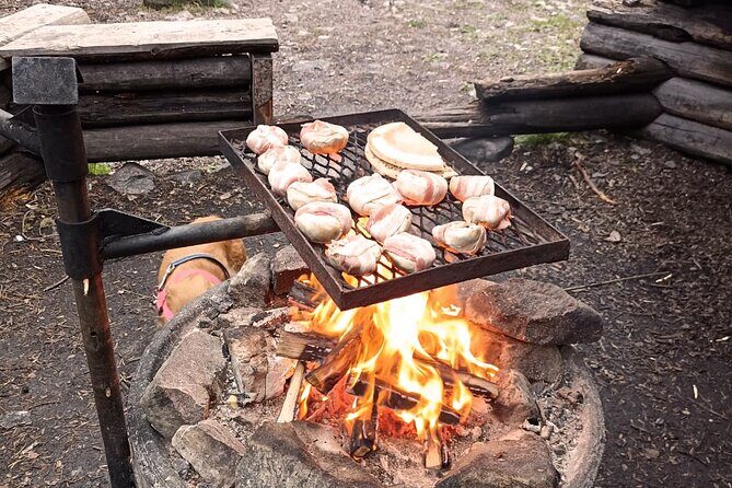 Korouoma Canyon: Frozen Waterfalls Hike & BBQ Experience - Price and value: what $153.79 buys you in a winter park day