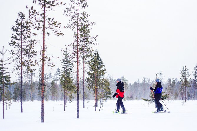 Korouoma Canyon Snowshoe Trip - Key things I’d count on here