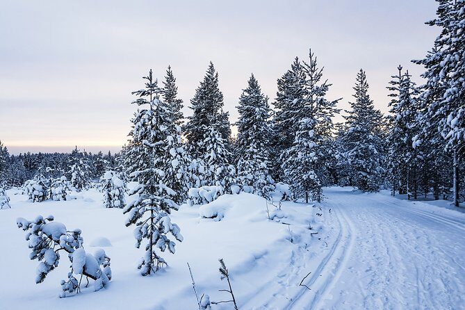 Korouoma Canyon Snowshoe Trip - Guides you’ll remember: warm leadership and real nature talk