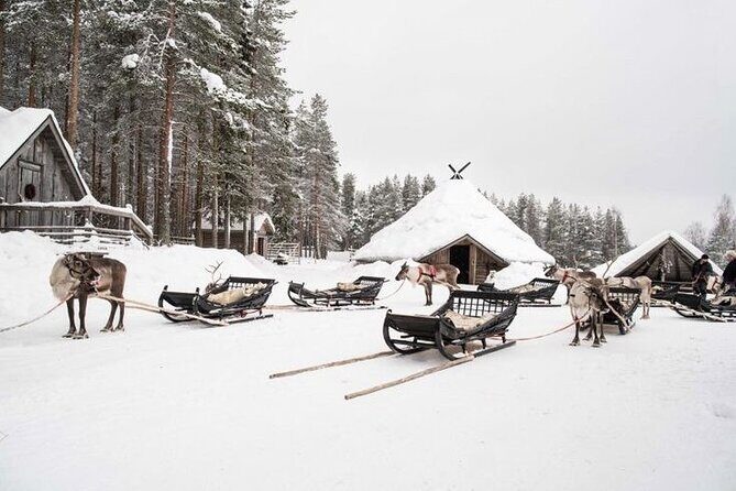 Kuoksa Reindeer Farm Visit with a Short Sleigh Ride - Key highlights you should know