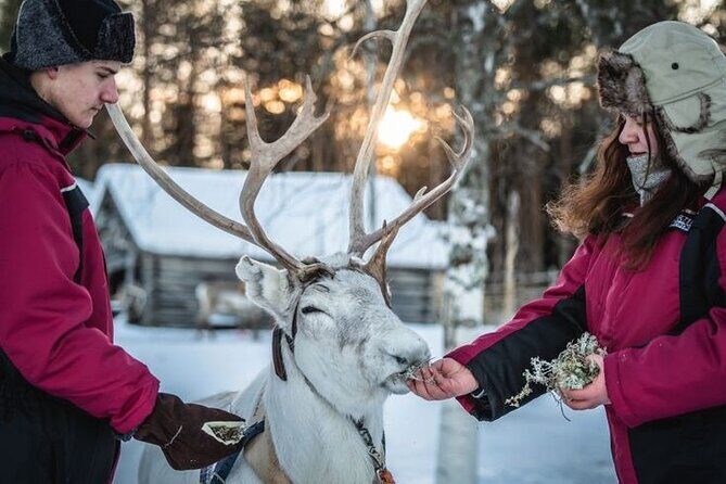 Kuoksa Reindeer Farm Visit with a Short Sleigh Ride - FAQ