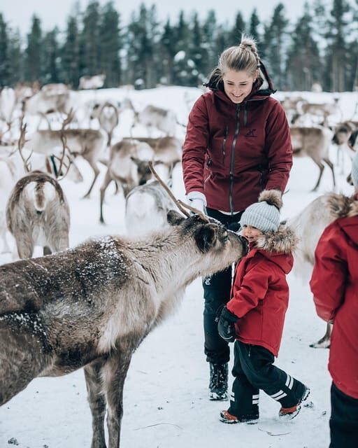 Kuusamo: Reindeer Sleigh Ride and Farm Visit - Price and value: is $97 per person fair for 1.5 hours?