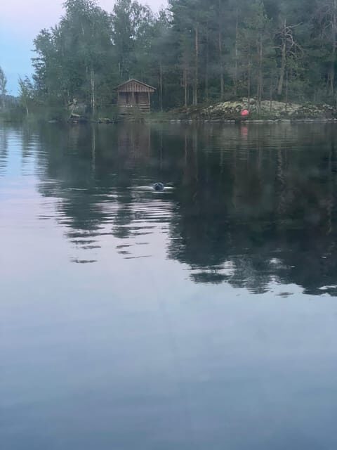 Lake Saimaa story cruise by Ecoboat in Puumala - The Quiet Electric Ecoboat: Comfort You Feel Right Away
