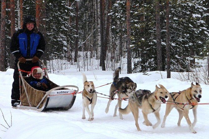 Lapland Husky Safari from Saariselkä - Urho Kekkonen National Park husky farm tour: beyond the sled