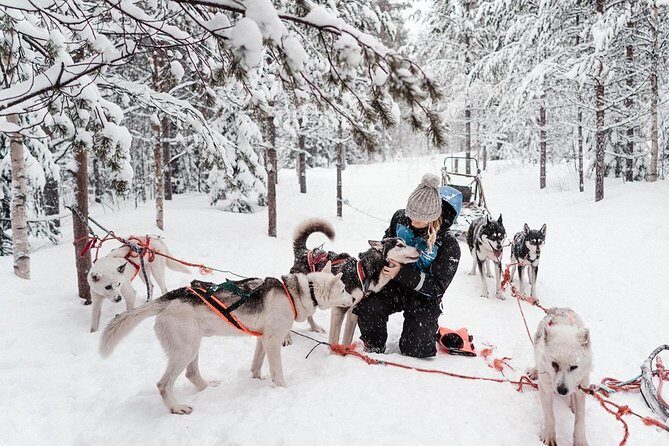 Lapland Husky Safari from Saariselkä - What’s included (and what you should still plan)
