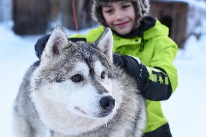 Lapland Husky Safari from Saariselkä - Hotel pickup and thermal clothing: less fuss, more warmth