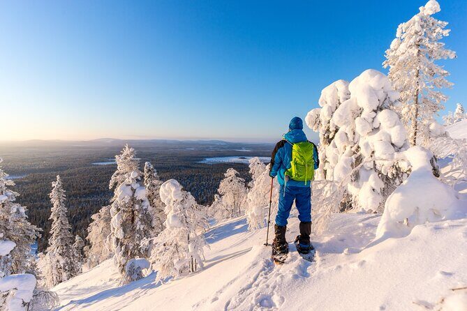 Lapland Ice Fishing Experience from Rovaniemi - Price and Value: Why $119 Can Be Worth It (or Not)