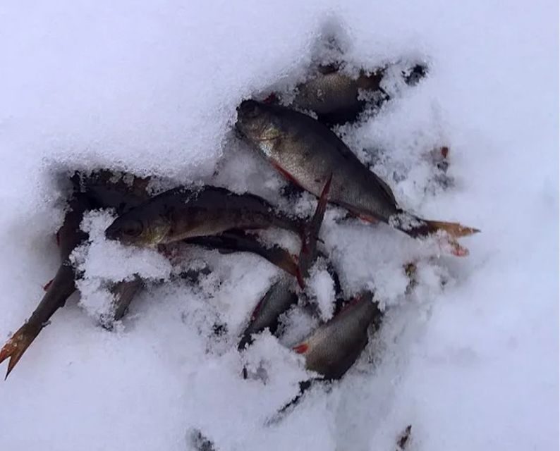 Lapland: Ice Fishing, Floating & BBQ Snow Adventure - Ice Floating in Survival Suits: Fun, Relaxing, and Slightly Icy