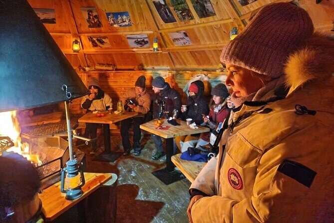 Lapland In A Day - Reindeer, Sledding, Snowmobile & Nature - Vikajärvi: The Winter Setting That Makes Everything Feel Real