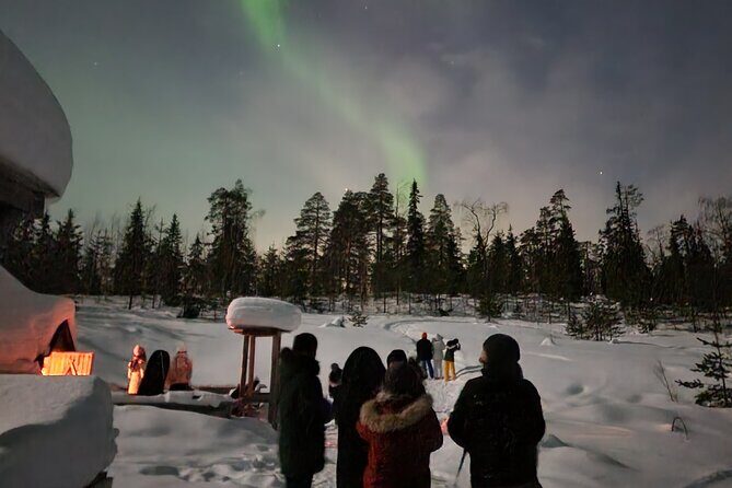 Lapland In A Day - Reindeer, Sledding, Snowmobile & Nature - Snowmobile-Pulled Sled Through Snowy Forests