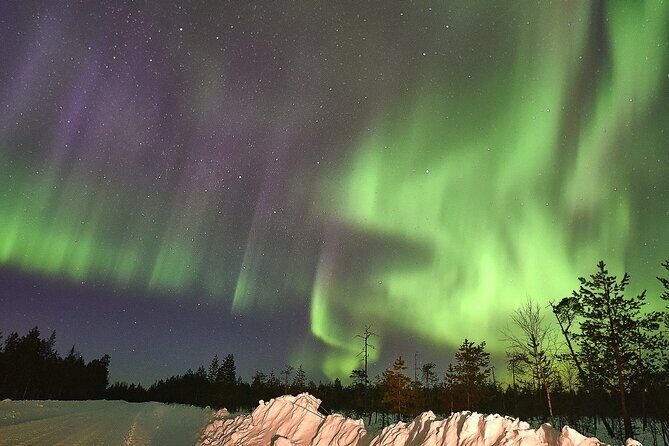 Lapland In A Day - Reindeer, Sledding, Snowmobile & Nature - Downhill Sledding and the Snow Slide: The Part You’ll Remember Later