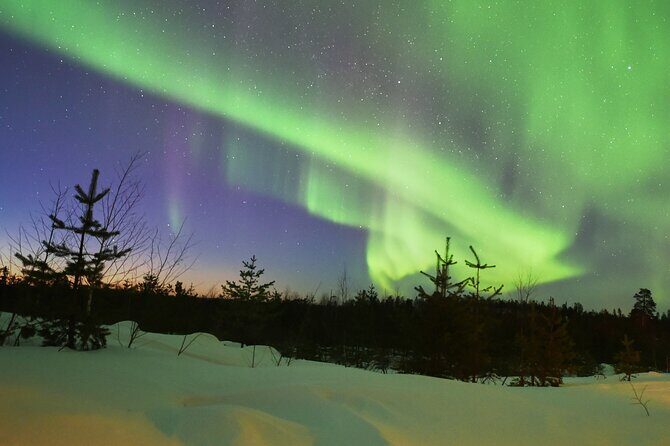 Lapland In A Day - Reindeer, Sledding, Snowmobile & Nature - Lantern-Lit Forest Trail: When the Arctic Goes Quiet