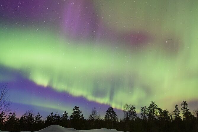 Lapland In A Day - Reindeer, Sledding, Snowmobile & Nature - Open Fire and Lappish Snacks: The Cozy Part That Makes the Tour Feel Complete