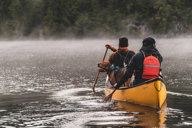 Lapland Kayak Adventure in Rovaniemi - Weather, Cancellations, and Keeping Your Plans Flexible