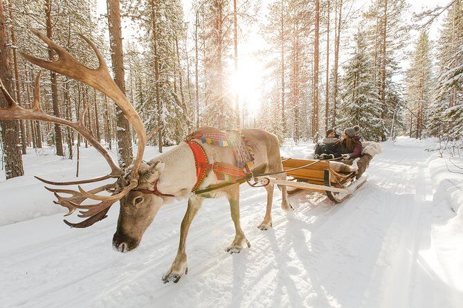 Lapland Reindeer and Husky Safari from Rovaniemi - Key highlights worth knowing
