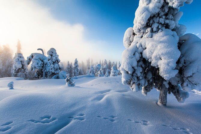 Lapland Snowmobile Safari from Levi - Cold-Weather Gear You Get (and What Might Still Need Extra)