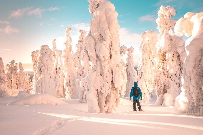 Lapland Winter Experience - Quick takeaways before you go