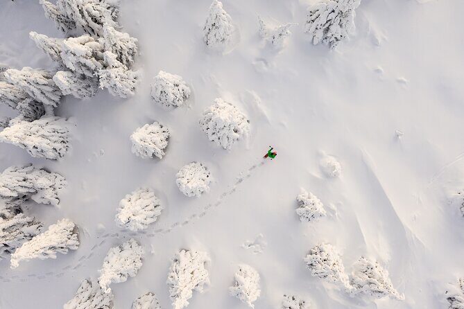 Lapland Winter Experience - Hotel Pickup in Rovaniemi: Starting Easy at Maakuntakatu